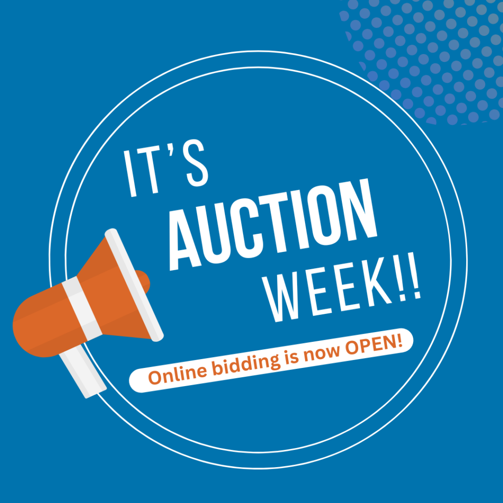 Auction Week Image